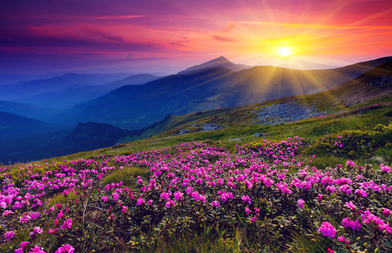 A breathtaking mountain sunrise